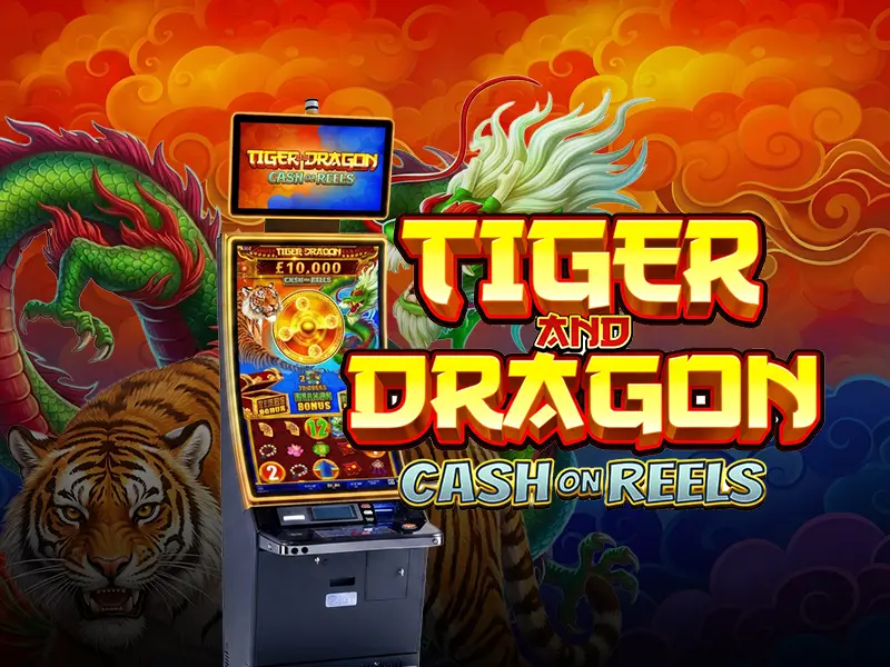 Tiger and Dragon Cash on Reels